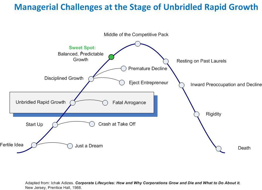 Unbridled Rapid Growth Stage